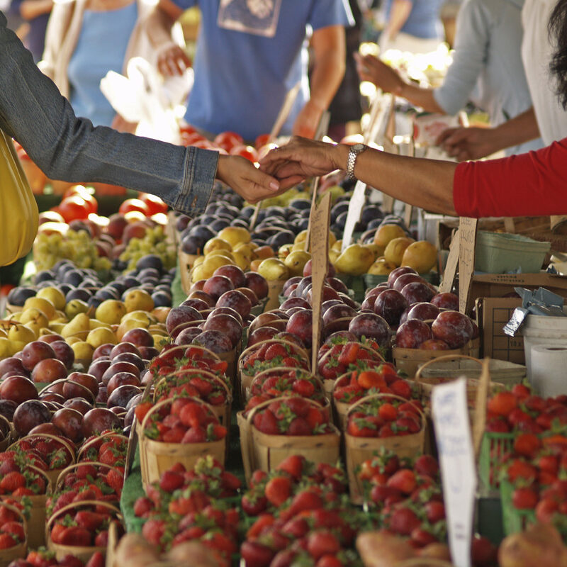 Food stall at Farmers Market